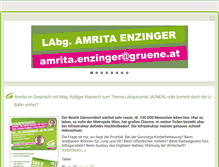Tablet Screenshot of amritaenzinger.net